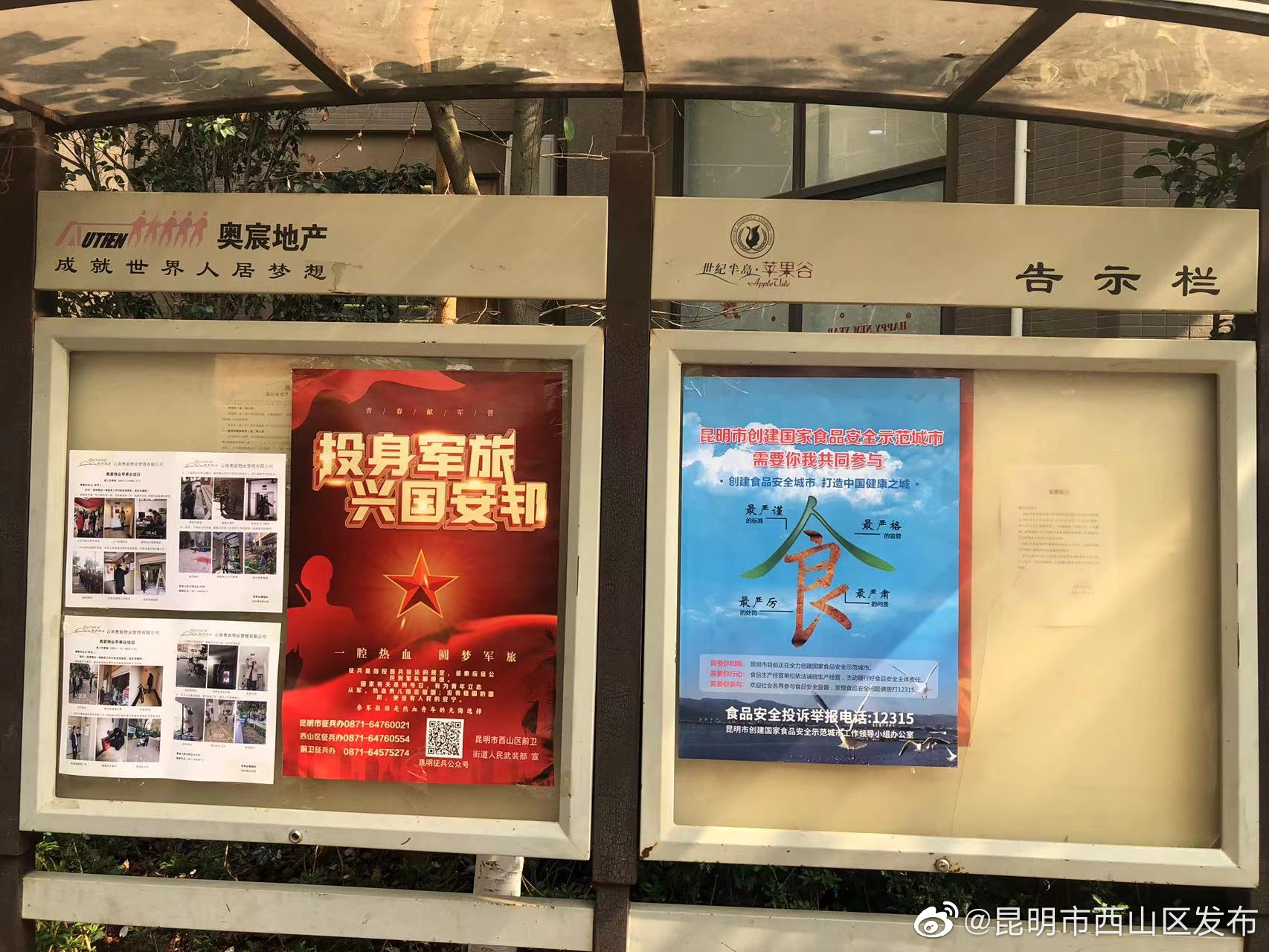 昆明市西山区发布