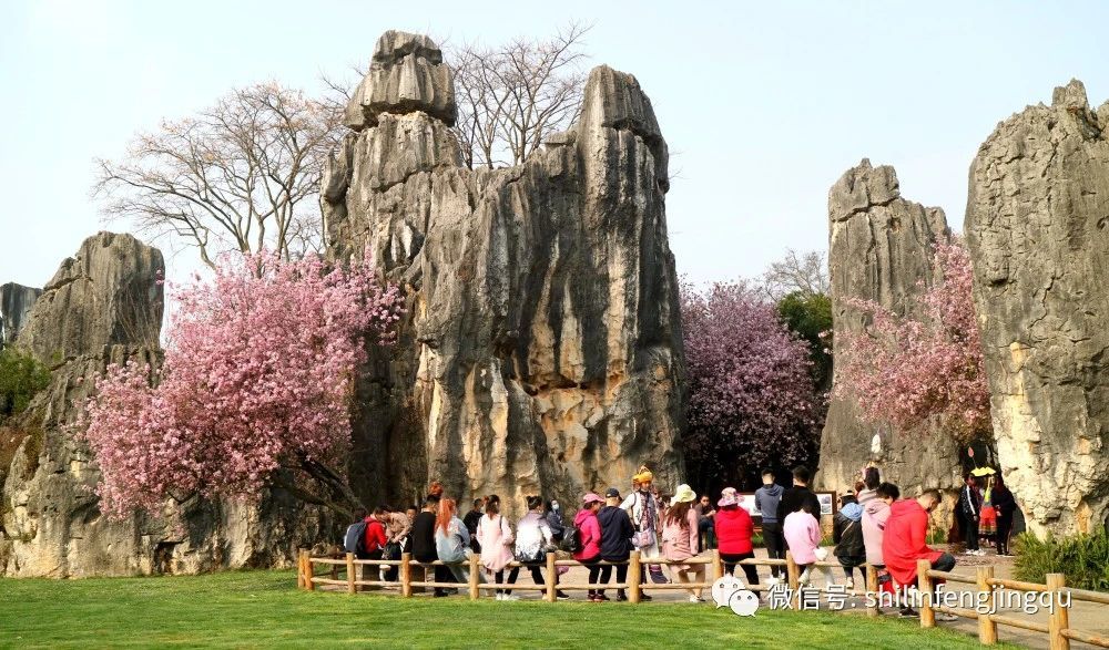 云南省文化和旅游厅