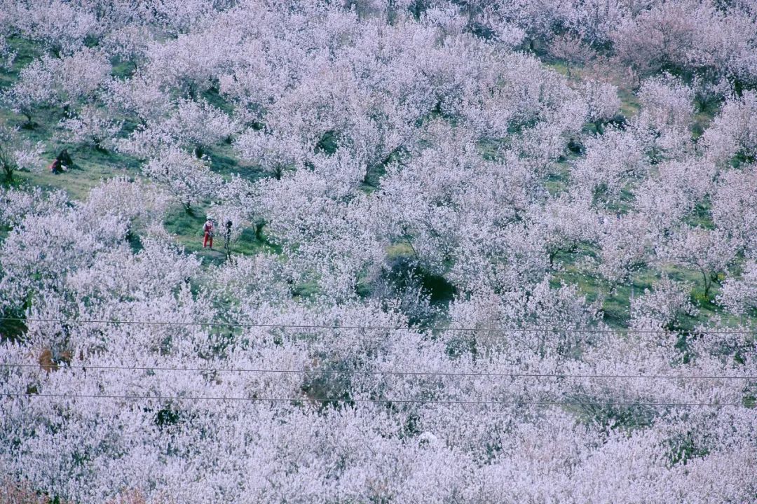 一部手机游云南