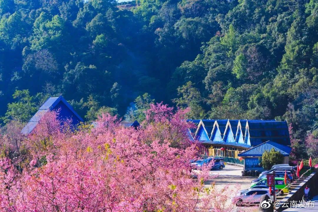 “云南发布”微博