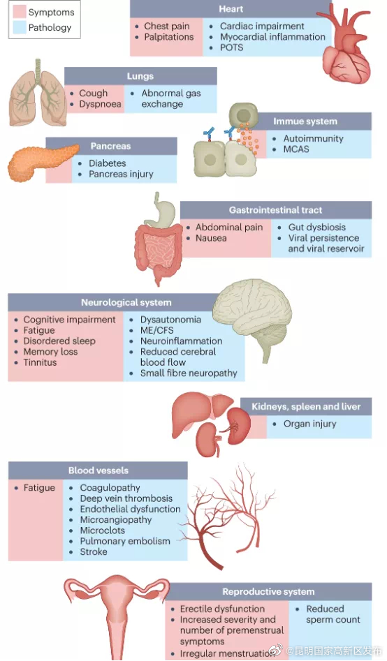 细胞科普｜干细胞或有效改善新冠相关后遗症