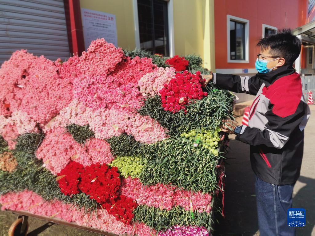 云南省文化和旅游厅