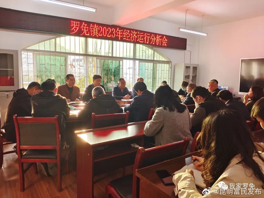 罗免镇召开一季度经济运行第二次分析会