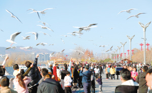 昆明市文化和旅游局