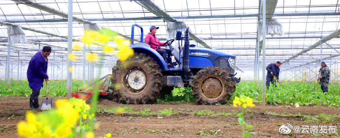 “云南发布”微博