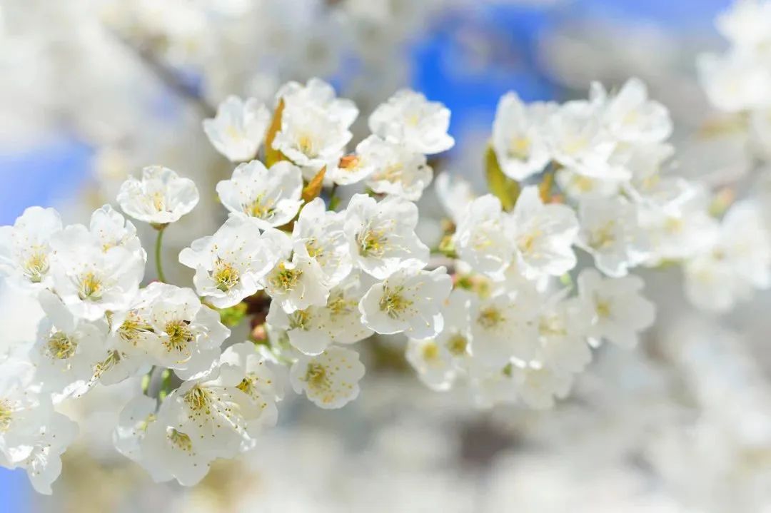 一部手机游云南