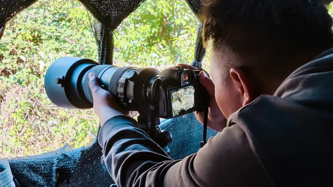 一部手机游云南