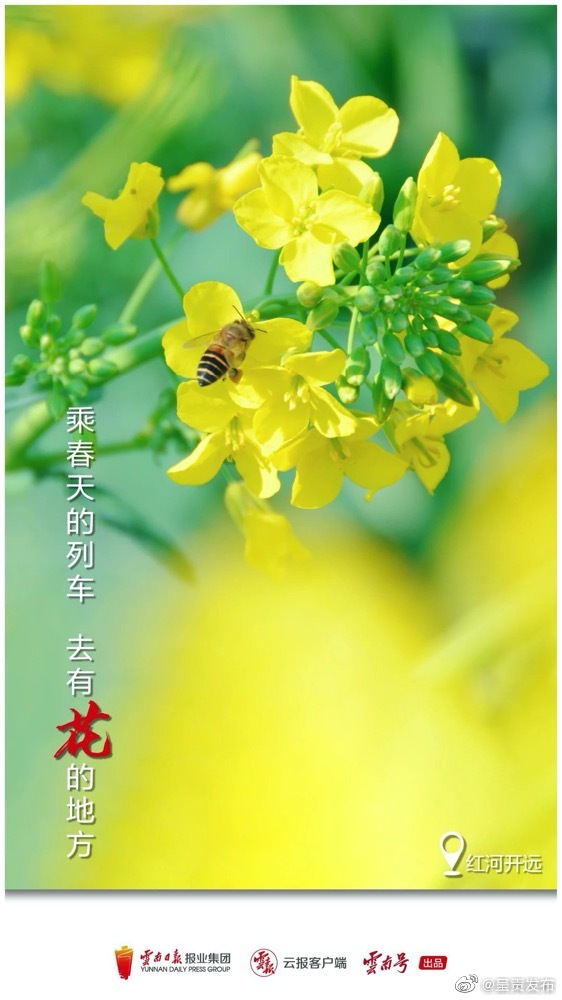 呈贡发布