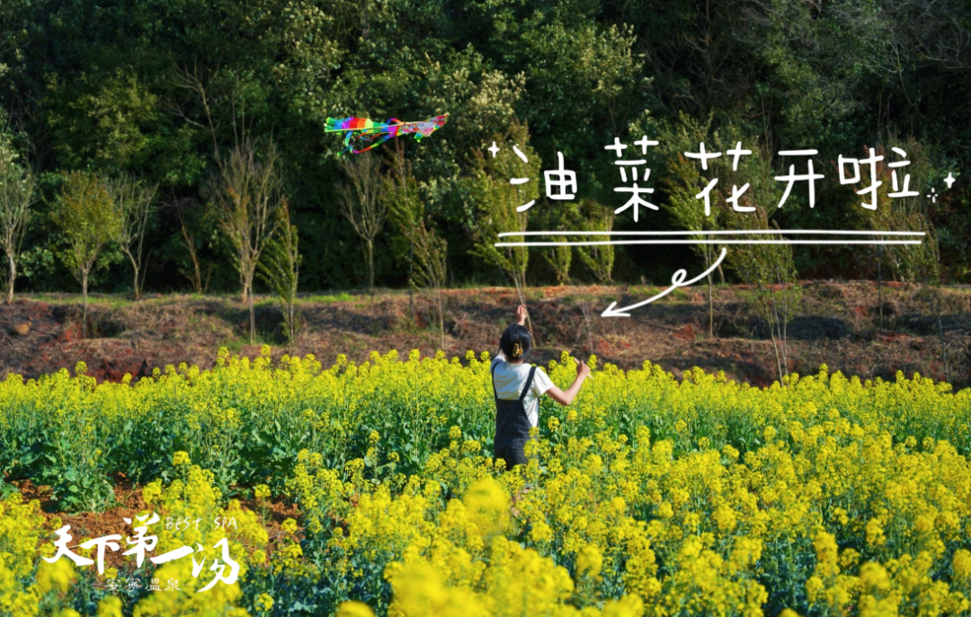 918云南交通台(微信)