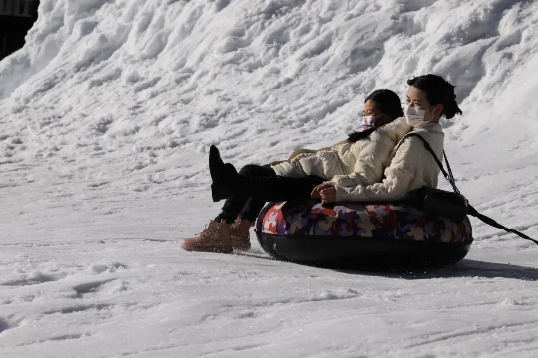 昆明轿子山旅游