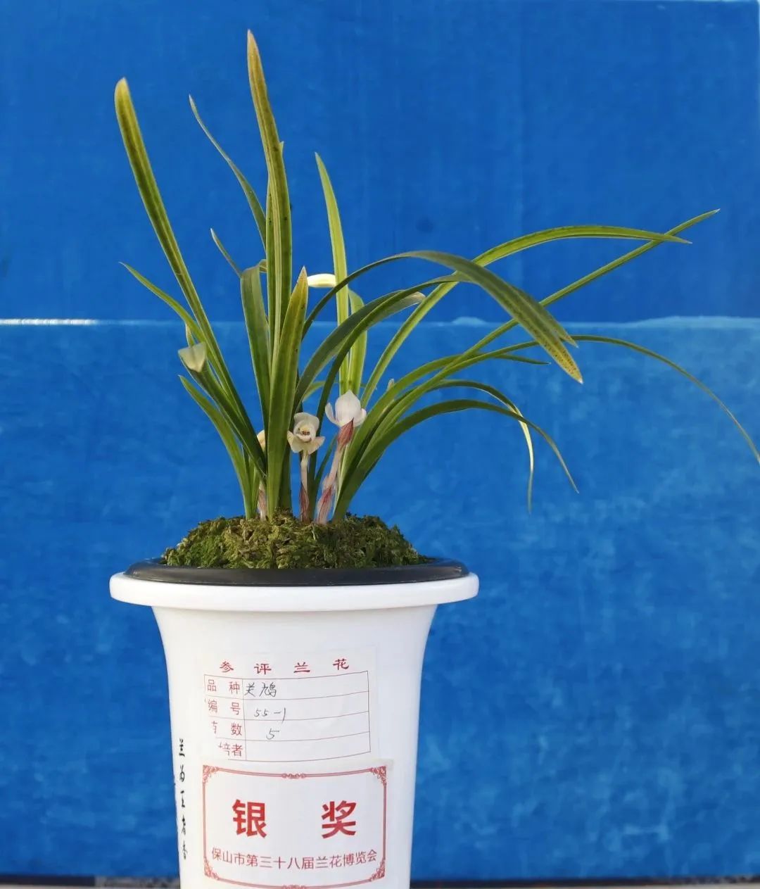 保山新闻网