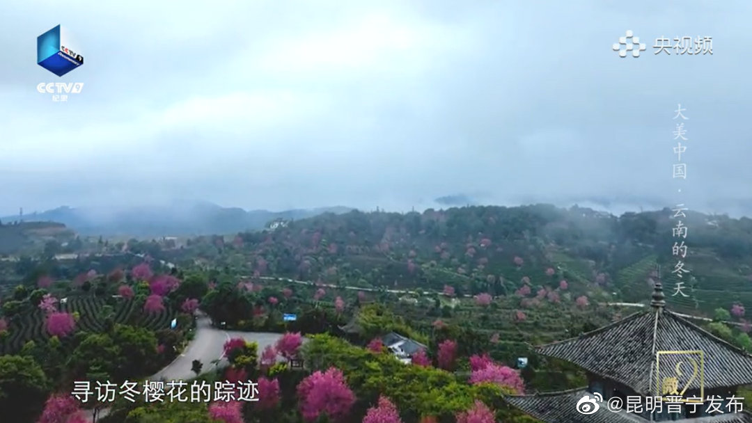 昆明晋宁发布