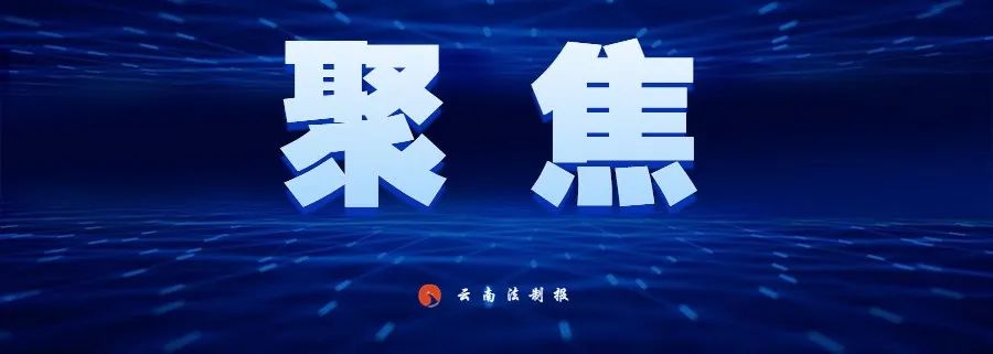 云南法制报
