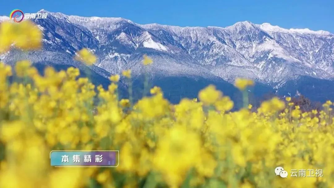大理电视台