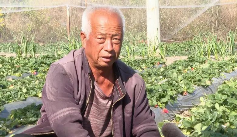 红河日报