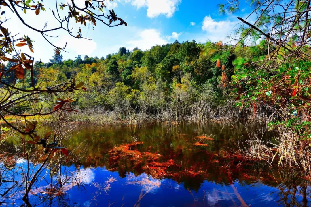 云南省人民政府网