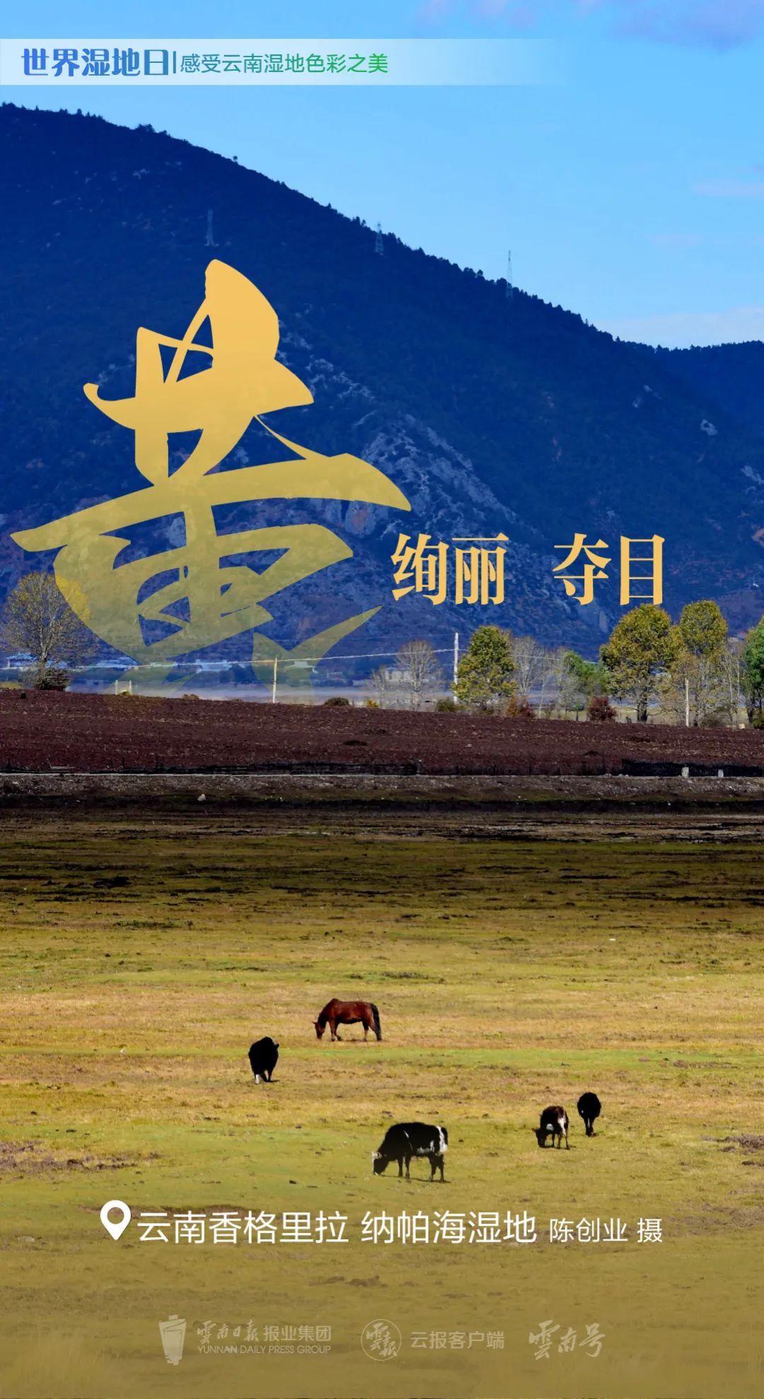 红河日报