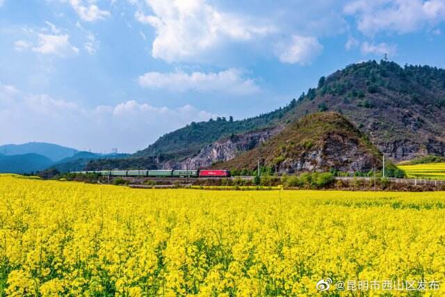 昆明市西山区发布