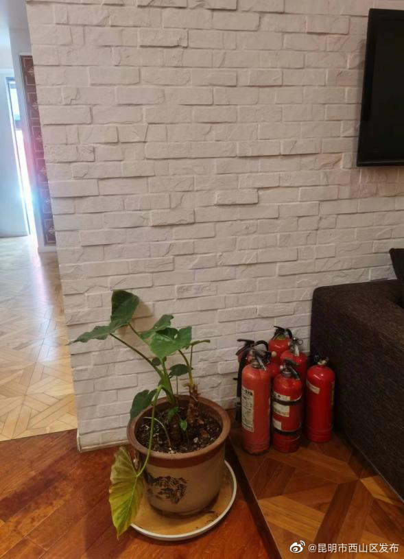 昆明市西山区发布