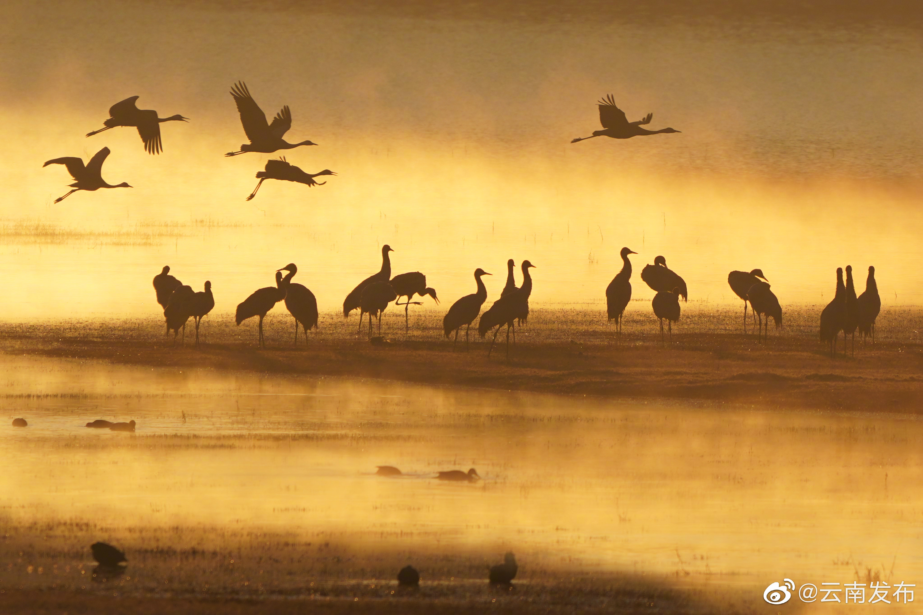 “云南发布”微博