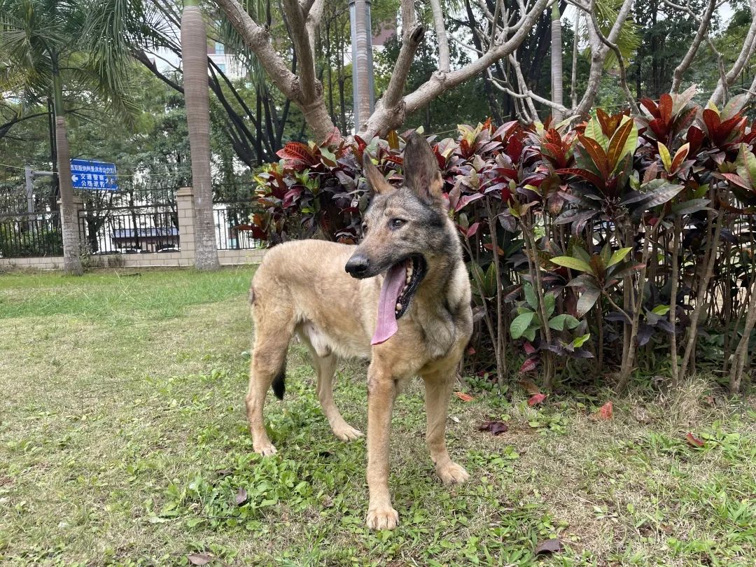 昆明信息港/cnkmxxg