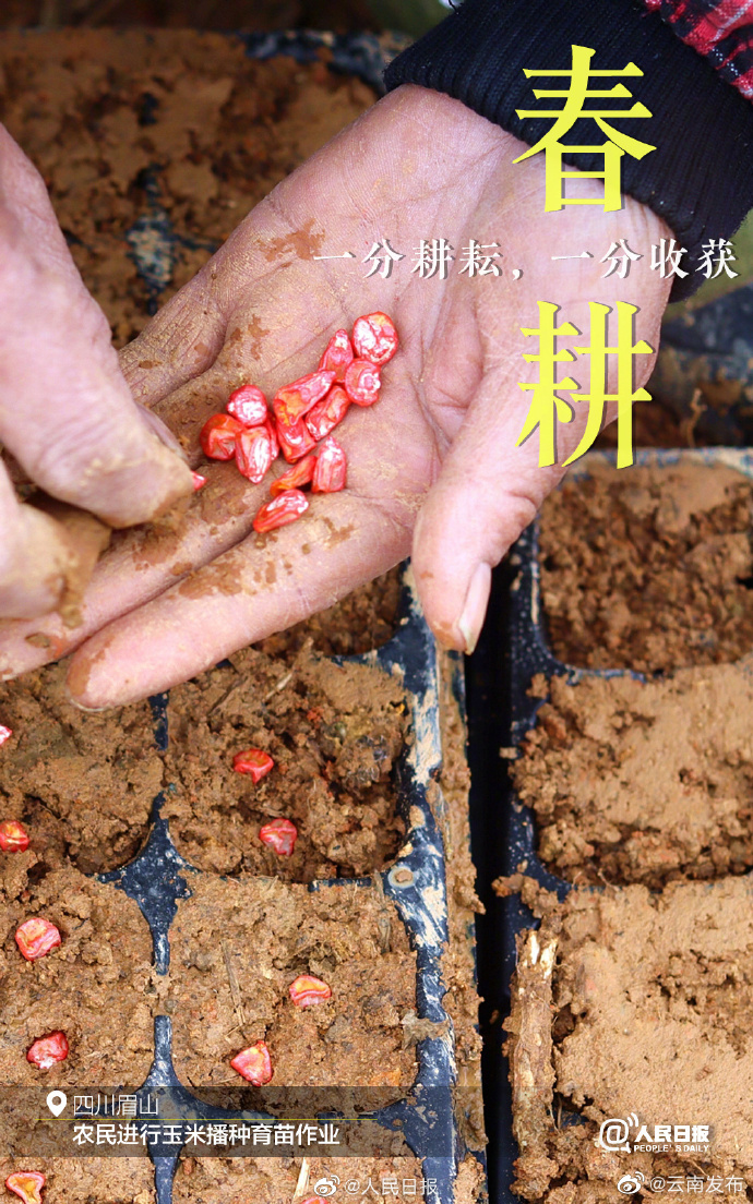 “云南发布”微博