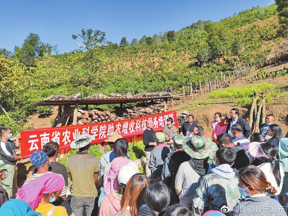 昆明晋宁发布