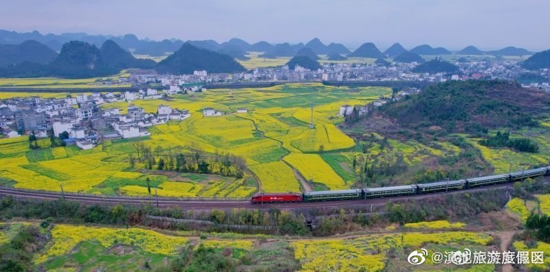 全程3天2晚！昆明至贵州威舍赏花专列开行