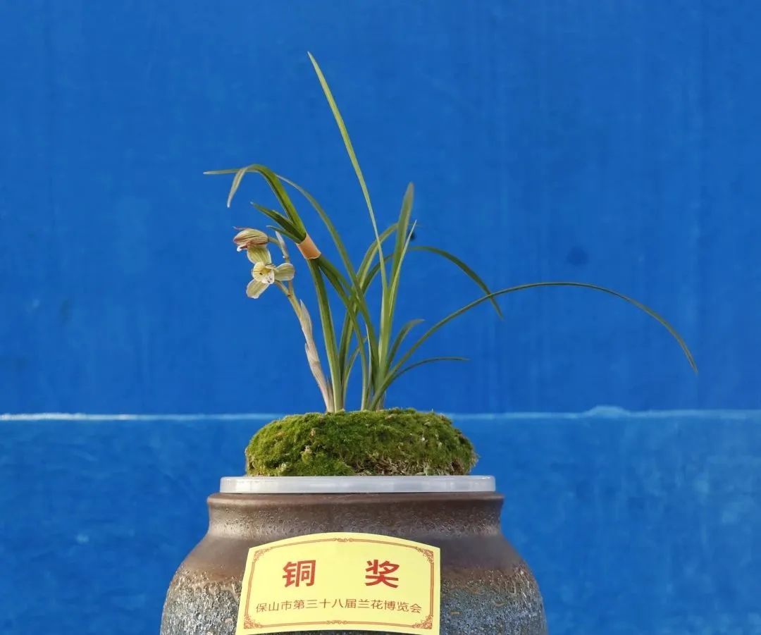 保山新闻网