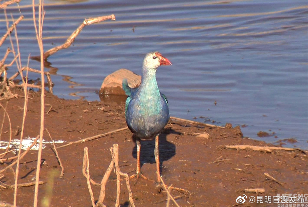 “昆明官渡发布”微博