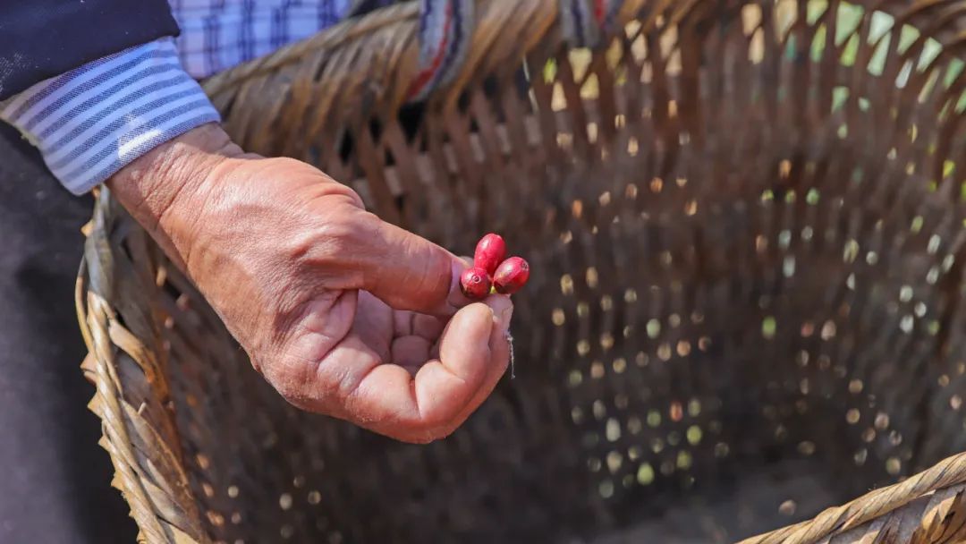 一部手机游云南
