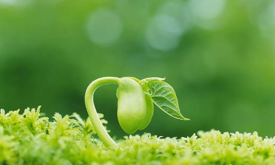 云南省文化和旅游厅