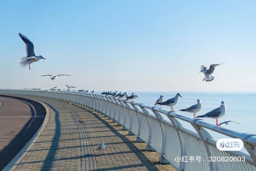 一部手机游云南