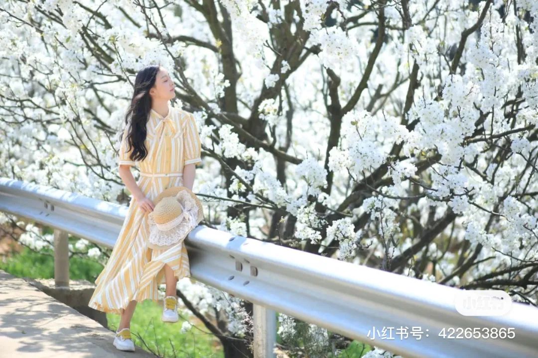 一部手机游云南