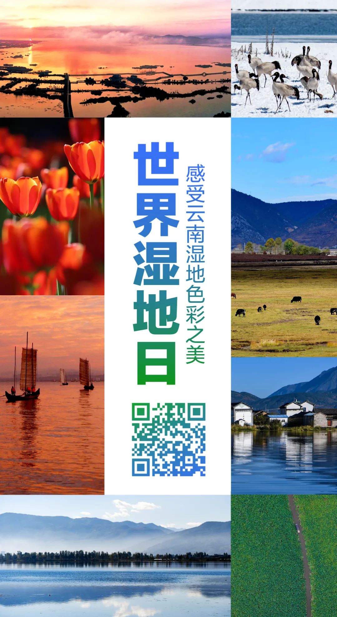 红河日报