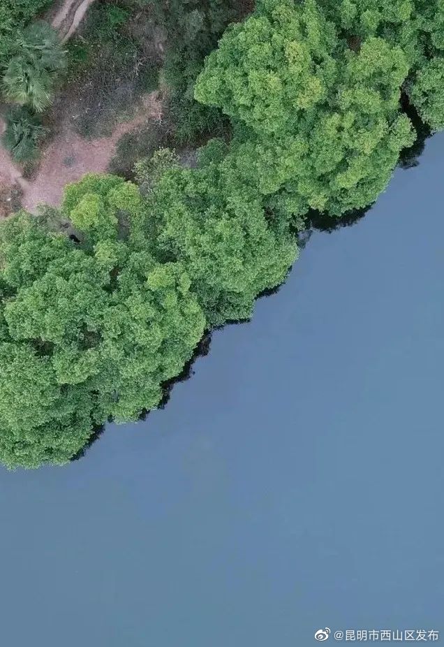 昆明市西山区发布