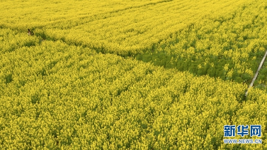 云南省文化和旅游厅