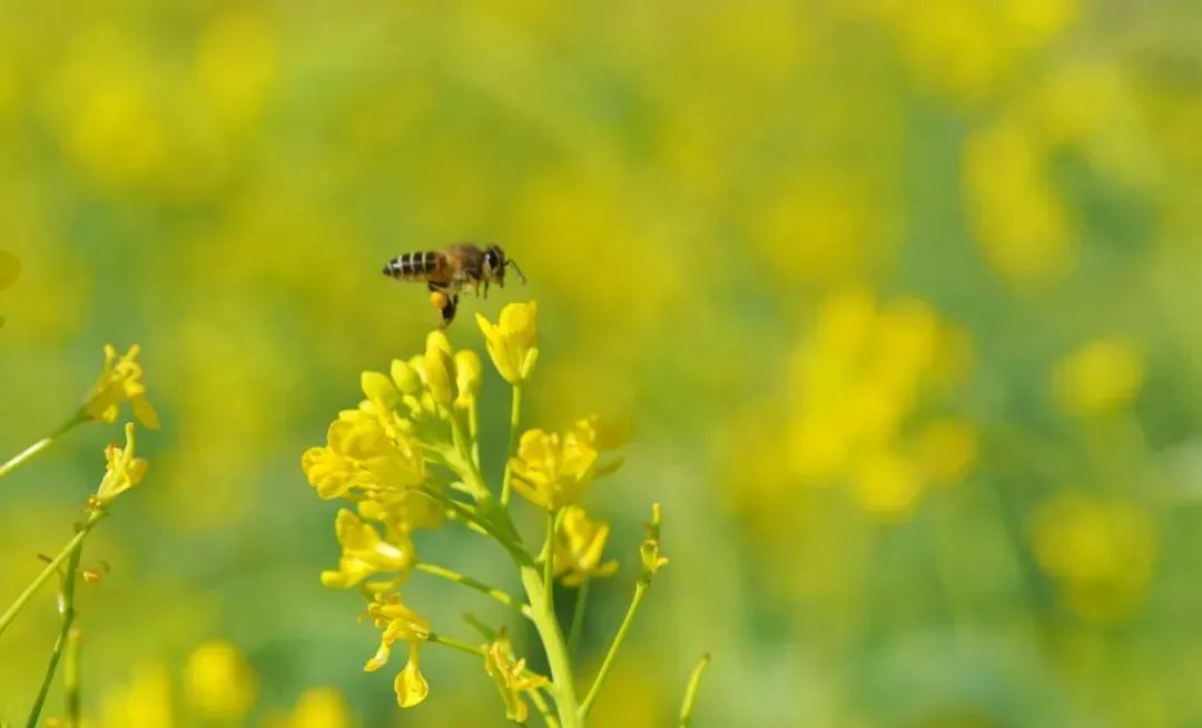 云南省文化和旅游厅