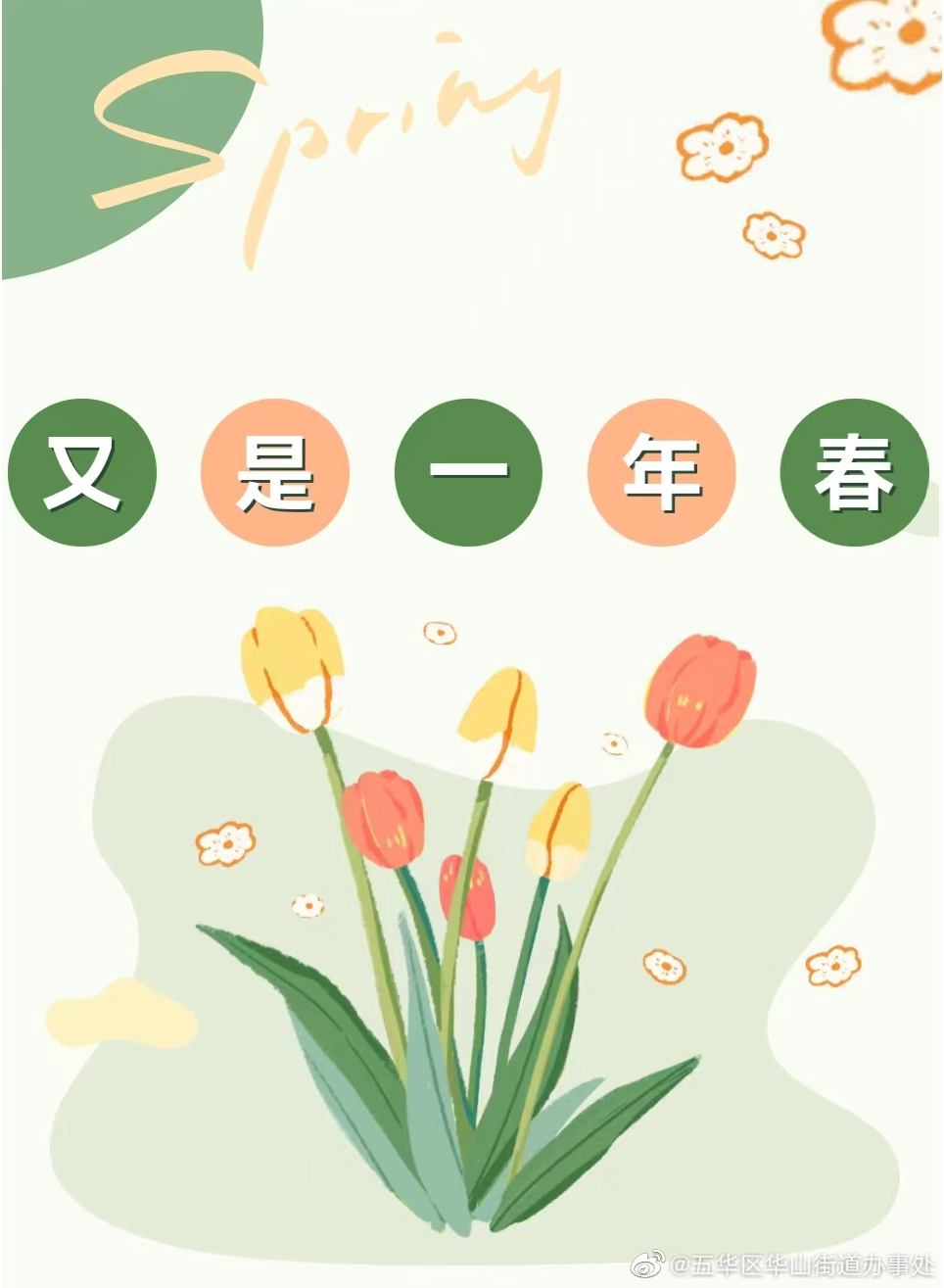 翠湖公园的春日限定——郁金香