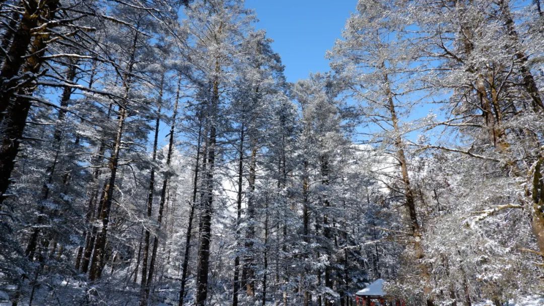 云南省文化和旅游厅