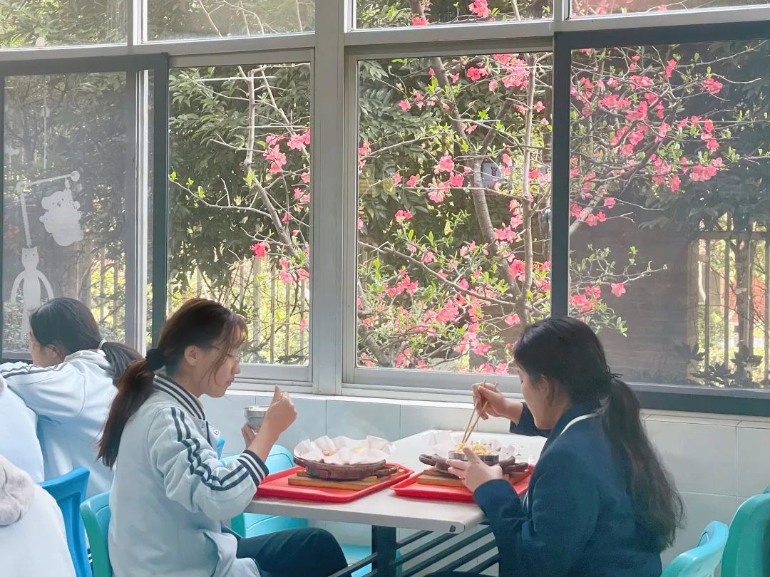 盘龙教育