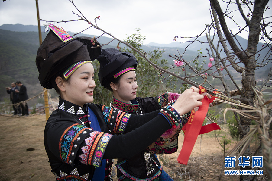 云南省文化和旅游厅