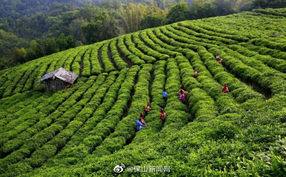 腾冲乡镇花样游丨秘境新华 美哉乐哉