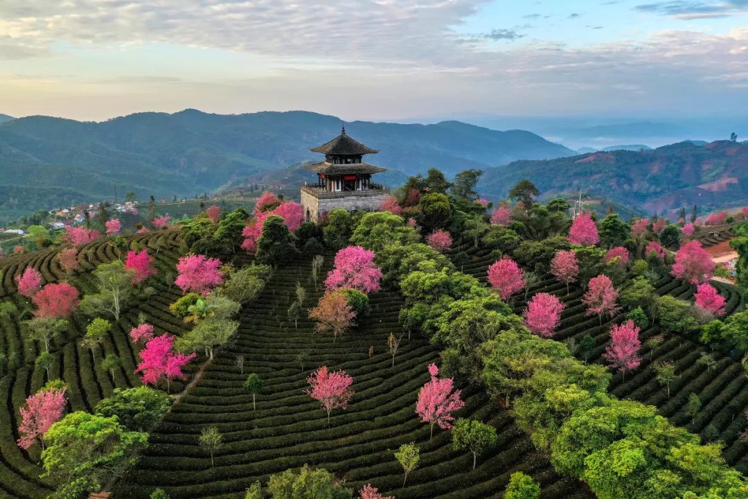 一部手机游云南