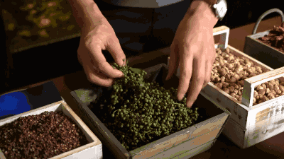 昆明市西山区发布