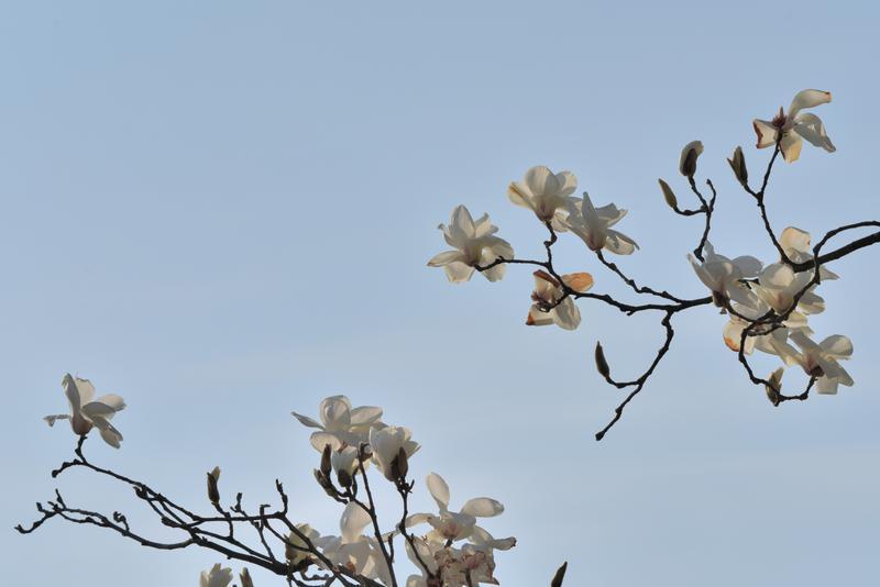 云南省文化和旅游厅