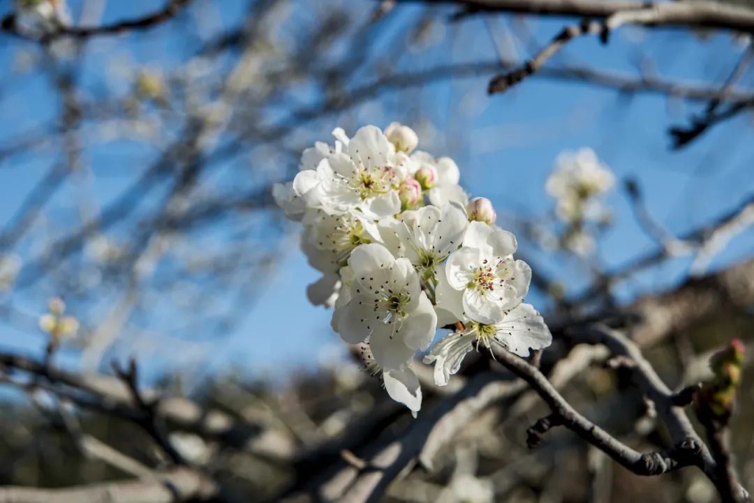 一部手机游云南