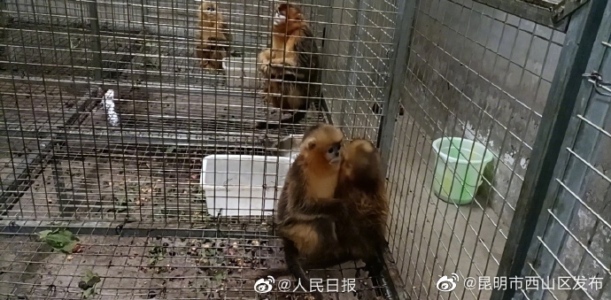 昆明市西山区发布