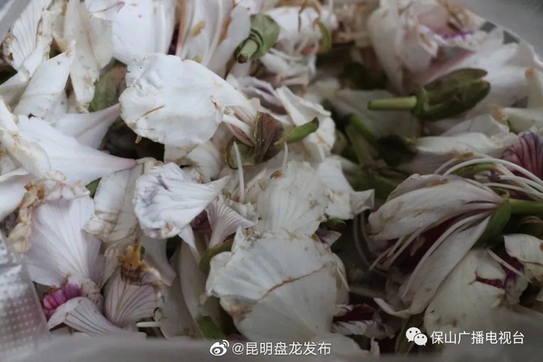 昆明盘龙发布
