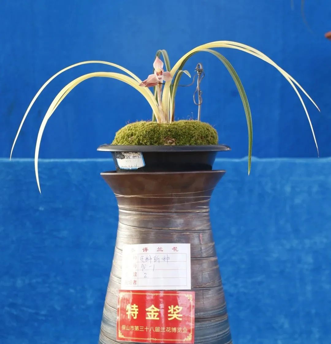 保山新闻网